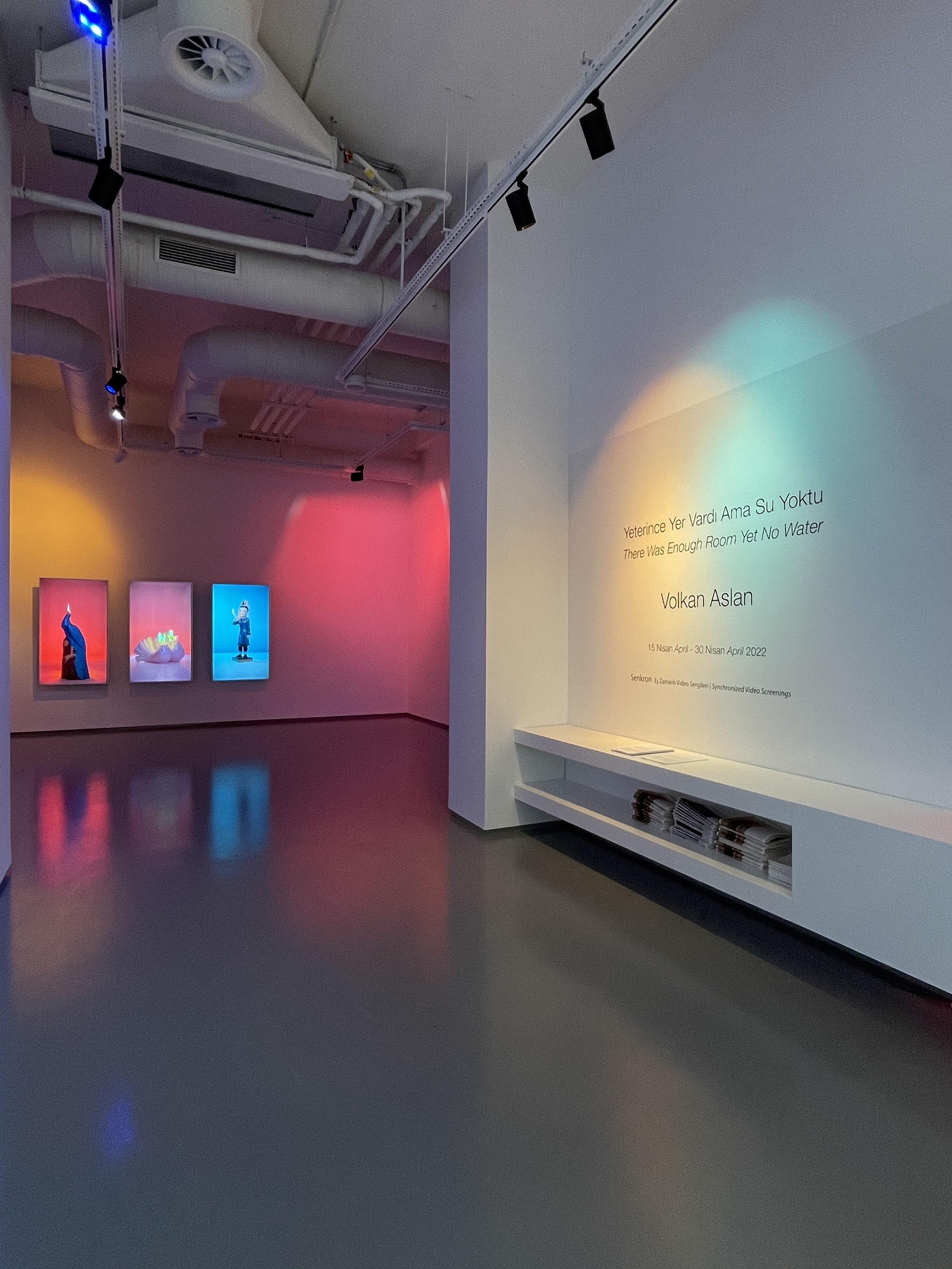 SENKRON | Synchronized Video Exhibitions