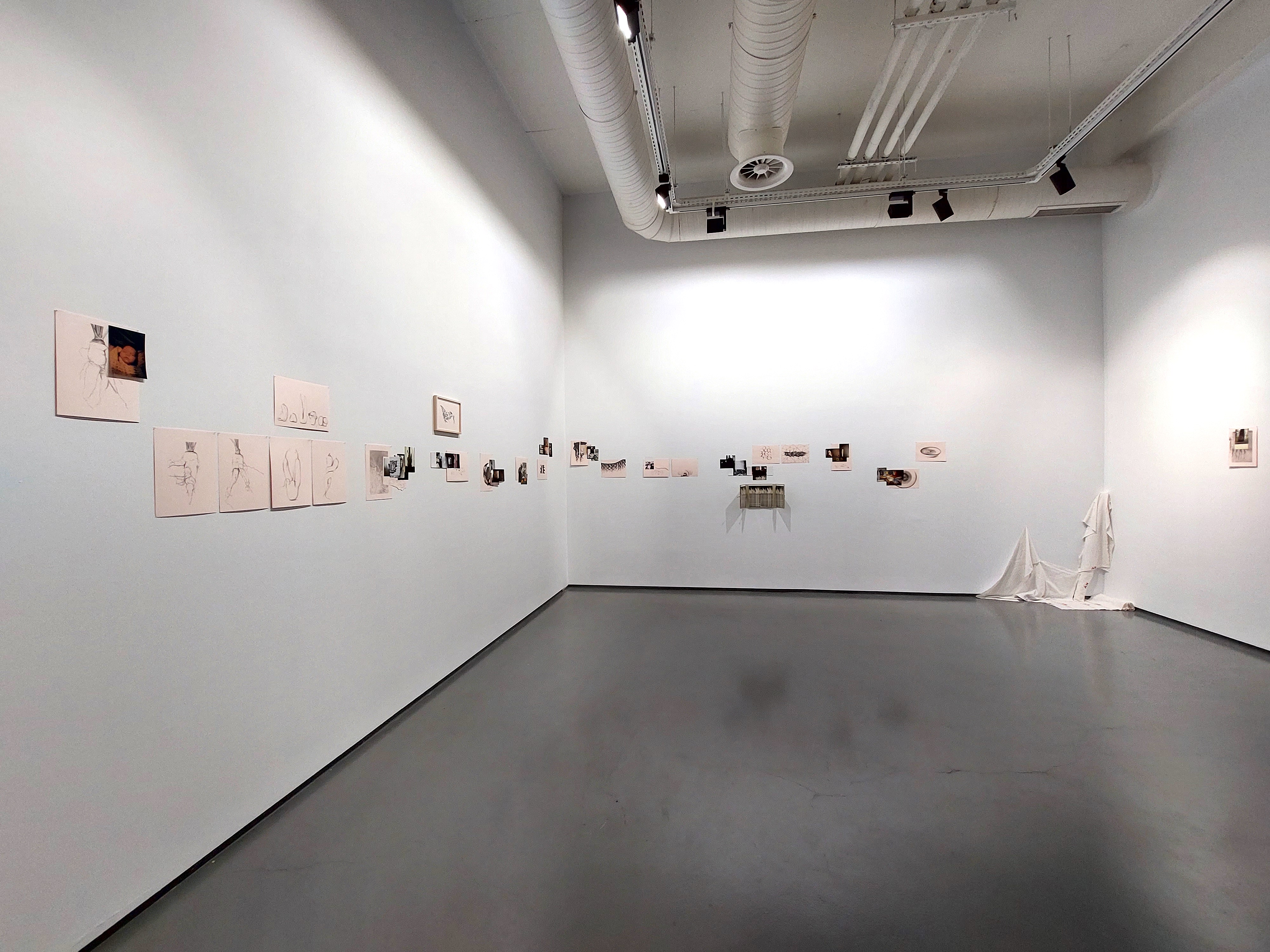 Megabytes Uploaded to the Cloud