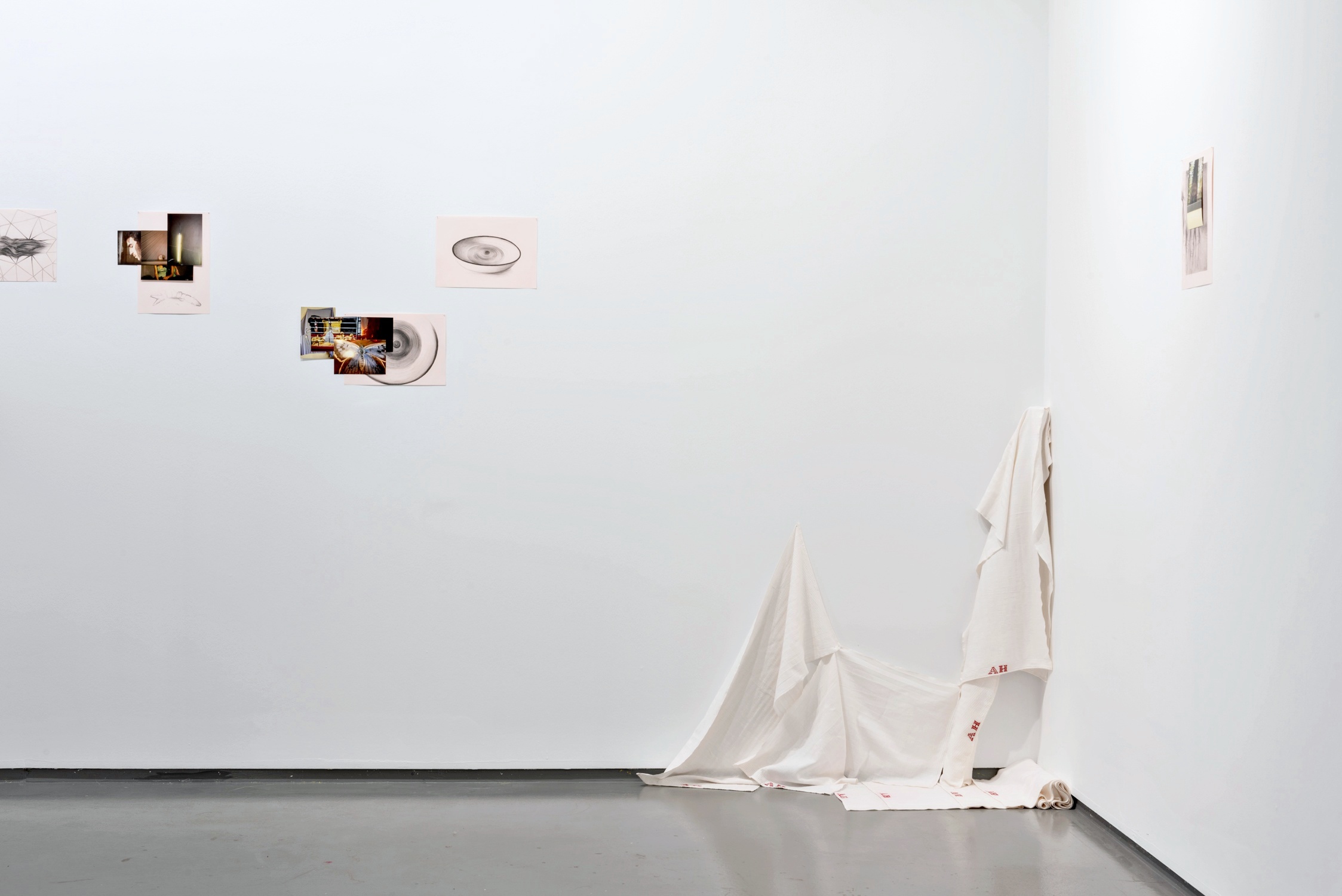 Megabytes Uploaded to the Cloud