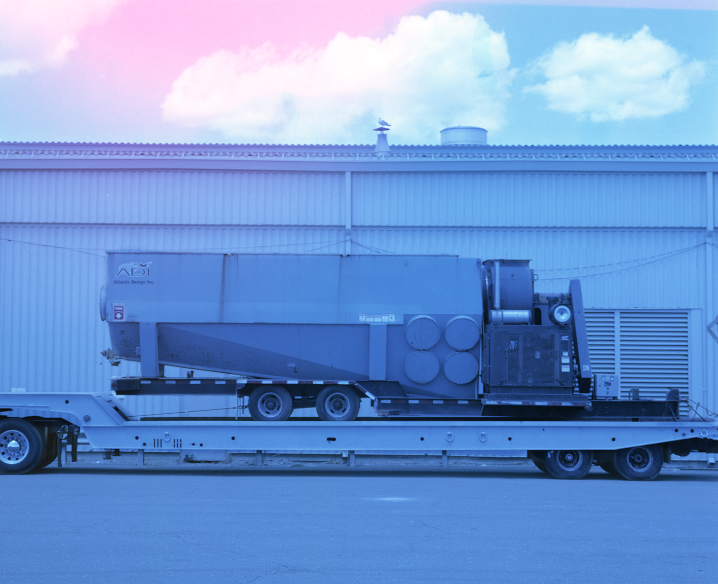 The Ones who Refuses to Forget