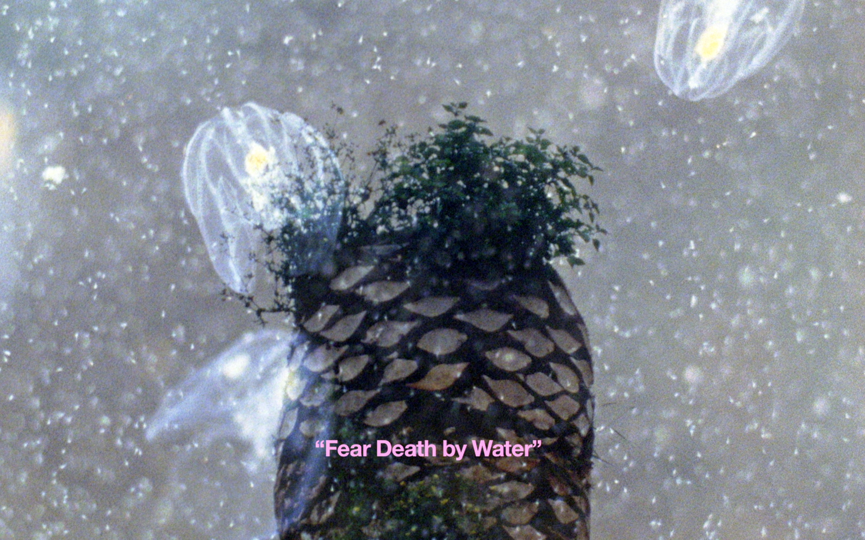 The Ones who Refuses to Forget