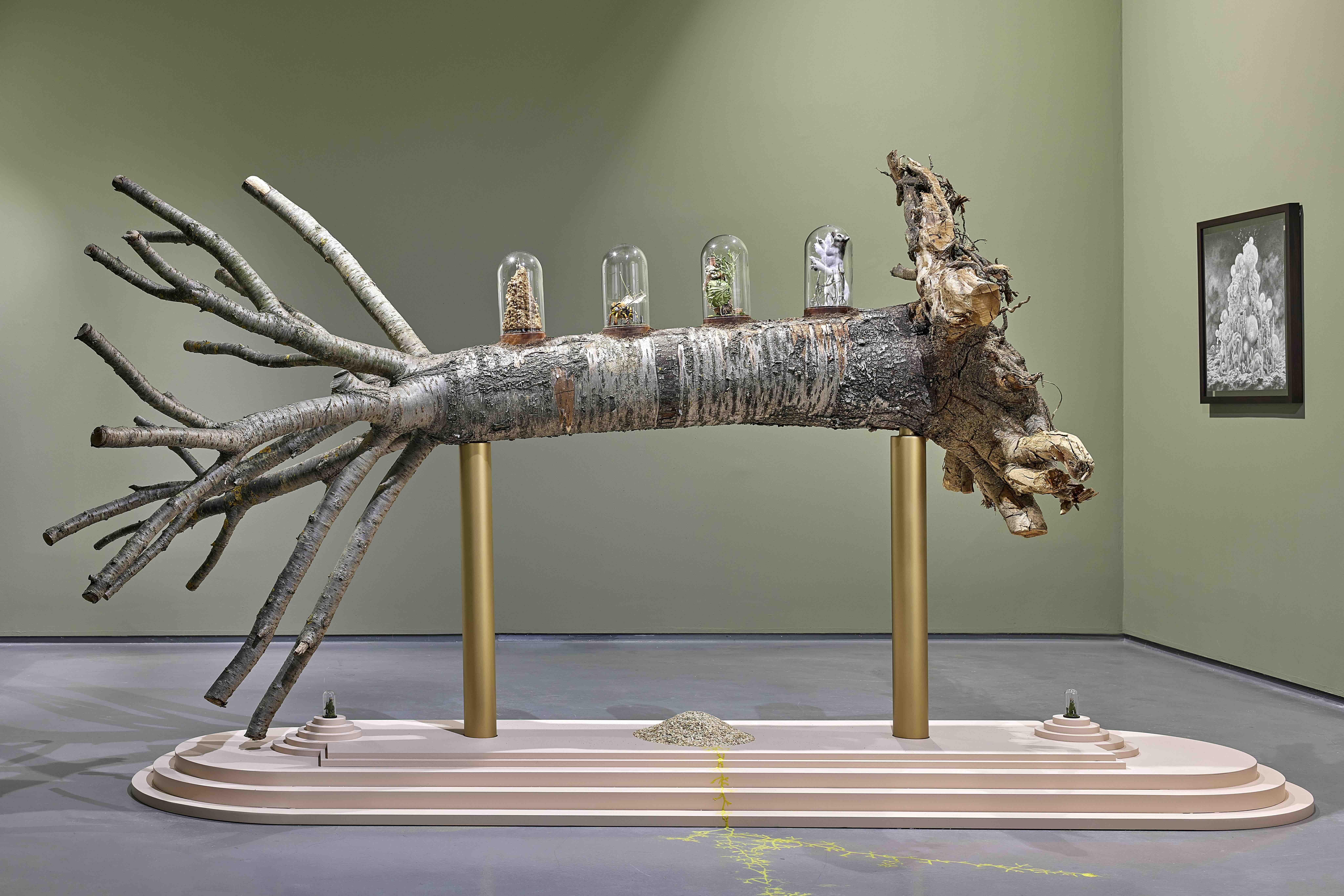 Ignition and Confluence: The River of Us