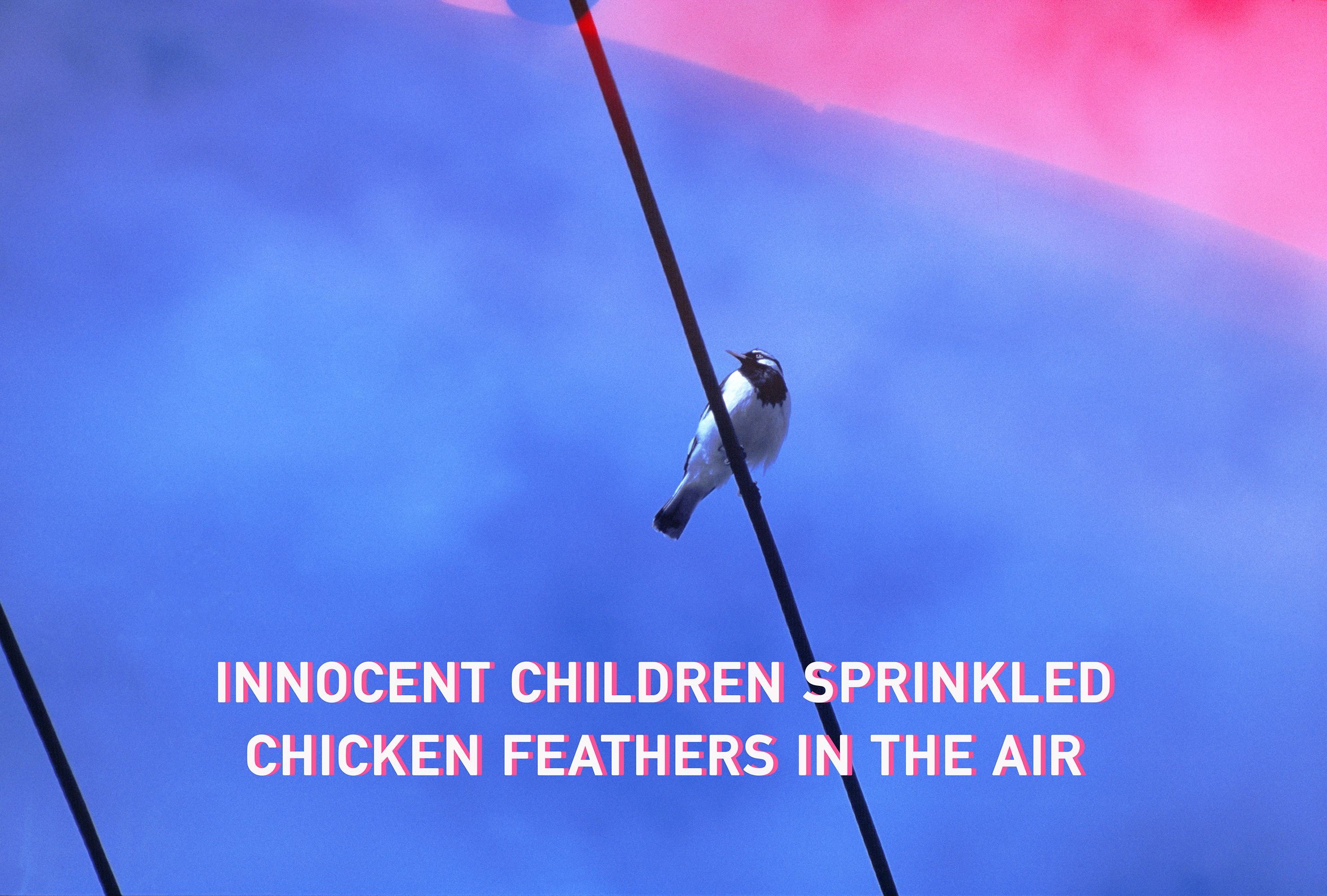 Every Subtle Gesture Casts a Shadow on the Future