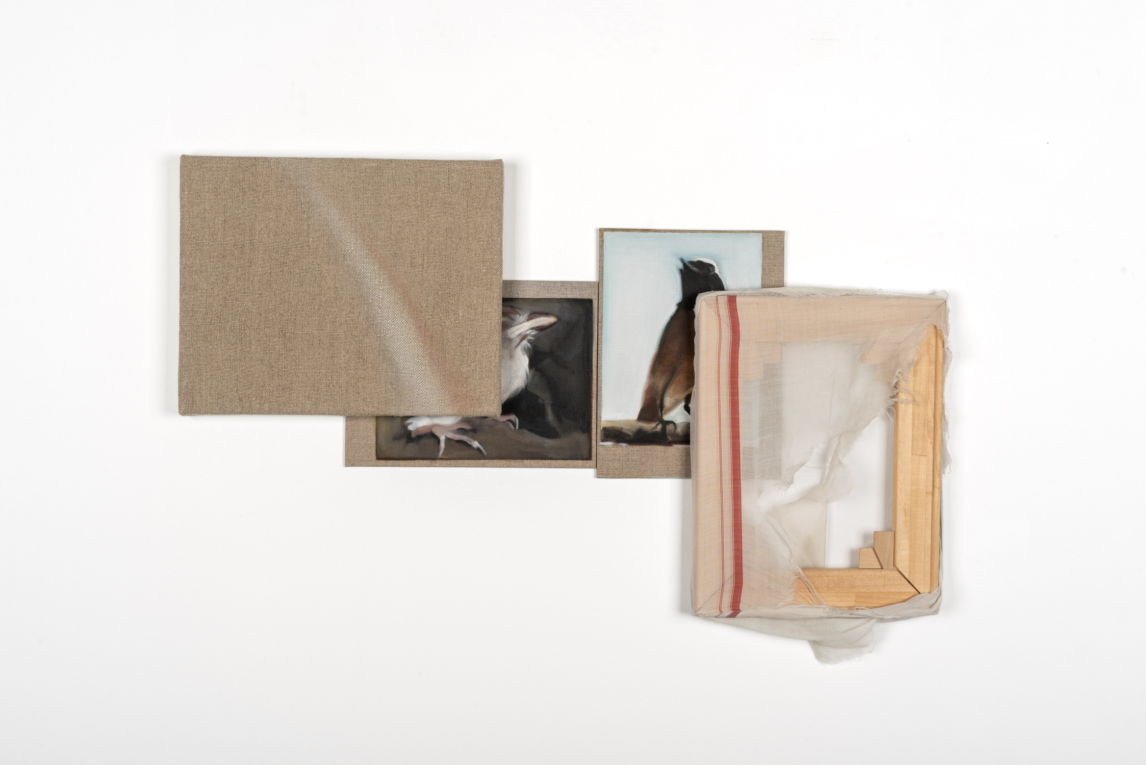 Megabytes Uploaded to the Cloud