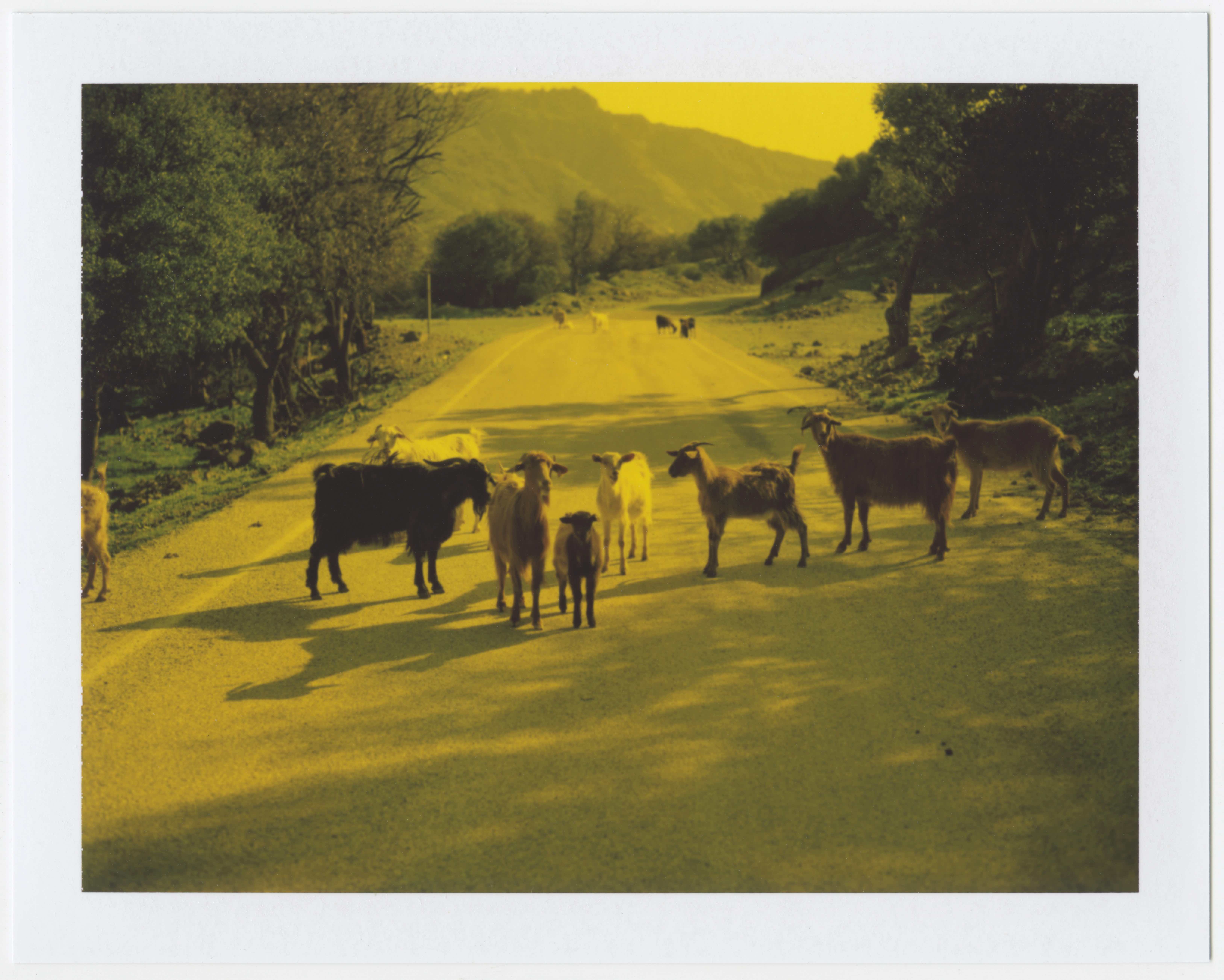 A Dot in a Pool of Broken Sound Waves