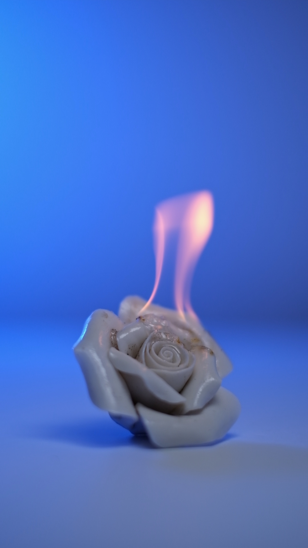 SENKRON | Synchronized Video Exhibitions