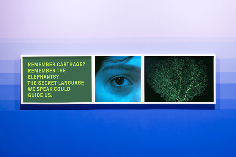 An Escalator Descending Towards Mysterious Time Machines